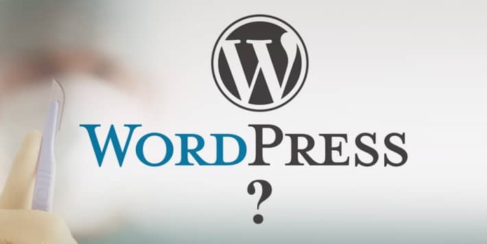 What About WordPress?